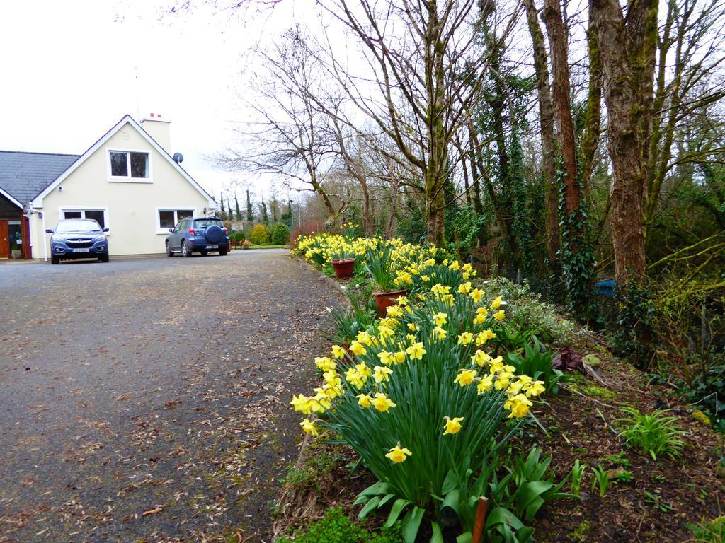 Camillaun Lodge With Lough Corrib Boat Hire Oughterard Exterior photo